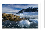Mountains and Ice at Nekko Harbor by Anonymous