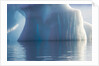Close-up of Iceberg by Anonymous