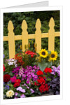 Flower Garden and Picket Fence by Anonymous