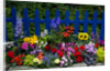 Flower Garden and Picket Fence by Anonymous