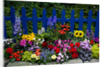 Flower Garden and Picket Fence by Anonymous