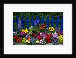 Flower Garden and Picket Fence by Anonymous