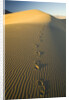 Footprints in Sand Dunes by Anonymous
