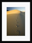 Footprints in Sand Dunes by Anonymous