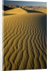 Ripples in Sand Dunes by Anonymous