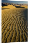 Ripples in Sand Dunes by Anonymous