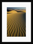 Ripples in Sand Dunes by Anonymous