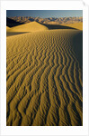 Ripples in Sand Dunes by Anonymous