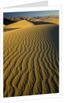 Ripples in Sand Dunes by Anonymous