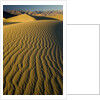 Ripples in Sand Dunes by Anonymous