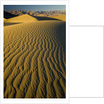 Ripples in Sand Dunes by Anonymous