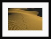 Footprints in Sand Dunes by Anonymous