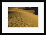 Footprints in Sand Dunes by Anonymous