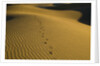 Footprints in Sand Dunes by Anonymous