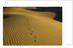Footprints in Sand Dunes by Anonymous