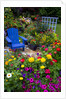 Backyard Flower Garden With Chair by Anonymous
