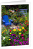 Backyard Flower Garden With Chair by Anonymous
