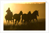 Silhouette of Cowboy Herding Horses by Anonymous