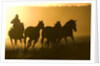 Silhouette of Cowboy Herding Horses by Anonymous