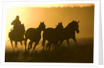 Silhouette of Cowboy Herding Horses by Anonymous