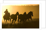 Silhouette of Cowboy Herding Horses by Anonymous