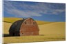 Red Barn in Wheat Field by Anonymous