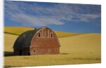 Red Barn in Wheat Field by Anonymous