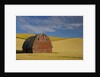 Red Barn in Wheat Field by Anonymous