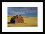Red Barn in Wheat Field by Anonymous