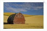 Red Barn in Wheat Field by Anonymous
