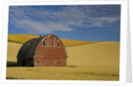 Red Barn in Wheat Field by Anonymous