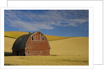 Red Barn in Wheat Field by Anonymous