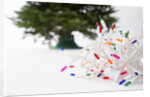 Christmas Lights in Front of Tree by Anonymous