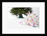 Christmas Lights in Front of Tree by Anonymous