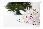 Christmas Lights in Front of Tree by Anonymous