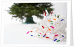 Christmas Lights in Front of Tree by Anonymous