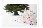Christmas Lights in Front of Tree by Anonymous