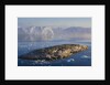 Small Rocky Island and Icebergs by Anonymous