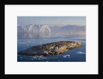 Small Rocky Island and Icebergs by Anonymous