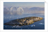 Small Rocky Island and Icebergs by Anonymous