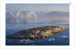 Small Rocky Island and Icebergs by Anonymous