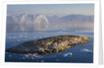 Small Rocky Island and Icebergs by Anonymous
