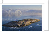 Small Rocky Island and Icebergs by Anonymous