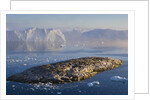 Small Rocky Island and Icebergs by Anonymous