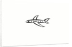 Airplane by Anonymous