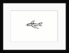 Airplane by Anonymous