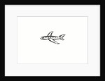 Airplane by Anonymous