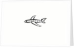 Airplane by Anonymous