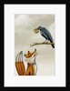 The fox and the crow by Anonymous