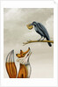 The fox and the crow by Anonymous